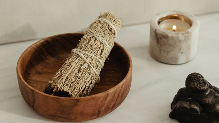 Sauge pour purifier la maison